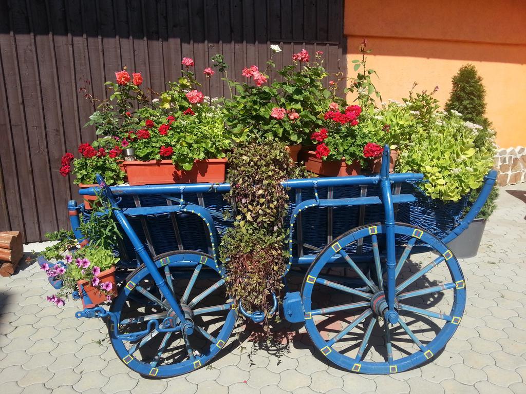 Hotel Bliss Sibiu Exteriér fotografie